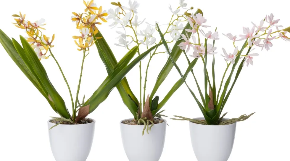 Intratuin kunstplant Vlinderorchidee wit D 10 H 37 cm