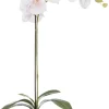 Intratuin kunstplant Vlinderorchidee wit / roze H 63 cm