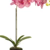 Intratuin kunstplant Vlinderorchidee roze H 38 cm