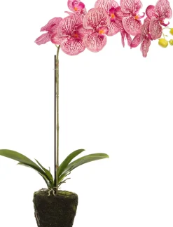 Intratuin kunstplant Vlinderorchidee roze H 38 cm