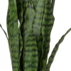 Intratuin kunstplant Vrouwentong D 12,5 H 43 cm