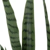 Intratuin kunstplant Vrouwentong D 24 H 148 cm