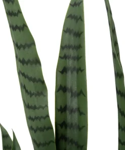 Intratuin kunstplant Vrouwentong D 24 H 148 cm