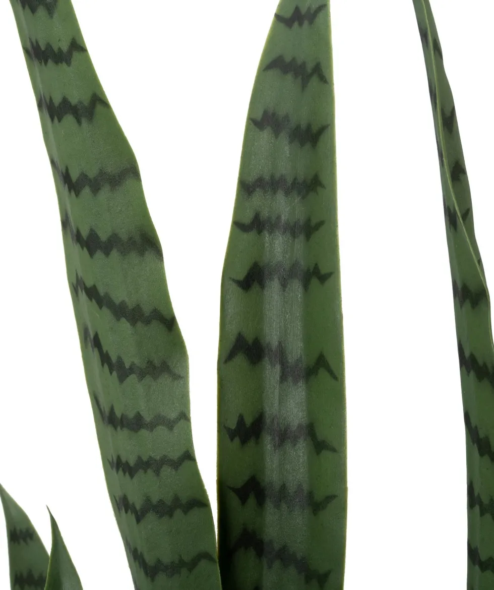 Intratuin kunstplant Vrouwentong D 24 H 148 cm