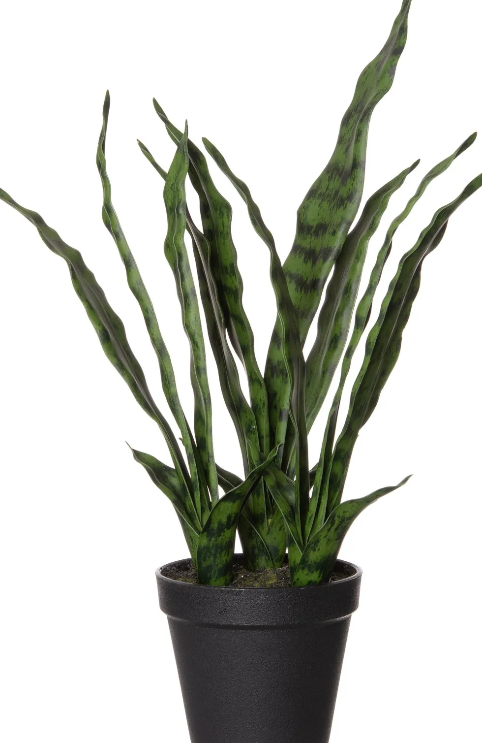 Intratuin kunstplant Vrouwentong H 61 cm