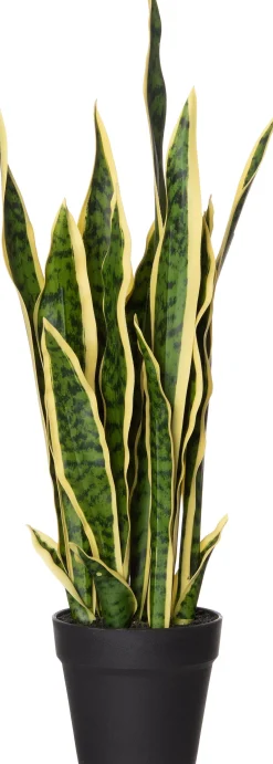 Intratuin kunstplant Vrouwentong geel / groen H 63 cm