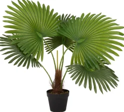 Intratuin kunstplant Waaierpalm H 80 cm
