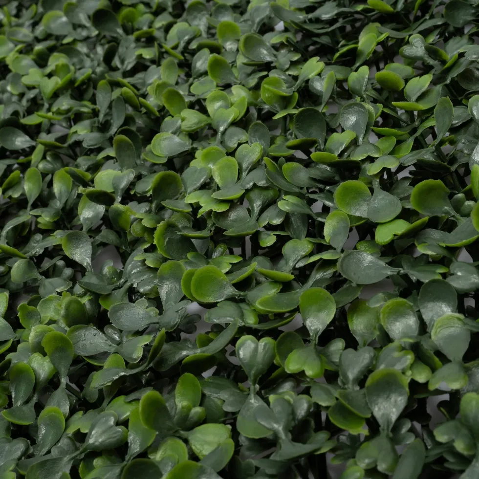 Intratuin kunstplant Wandpaneel Buxus L 100 B 100 cm