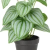 Intratuin kunstplant Watermeloenplantje groen / grijs D 11 H 30 cm
