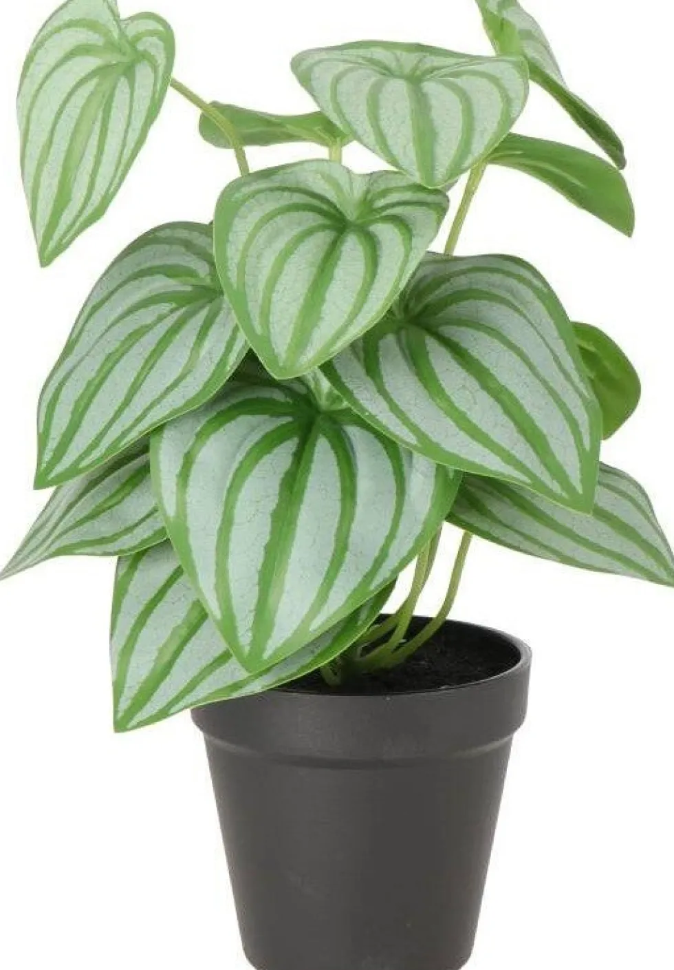 Intratuin kunstplant Watermeloenplantje groen / grijs D 11 H 30 cm