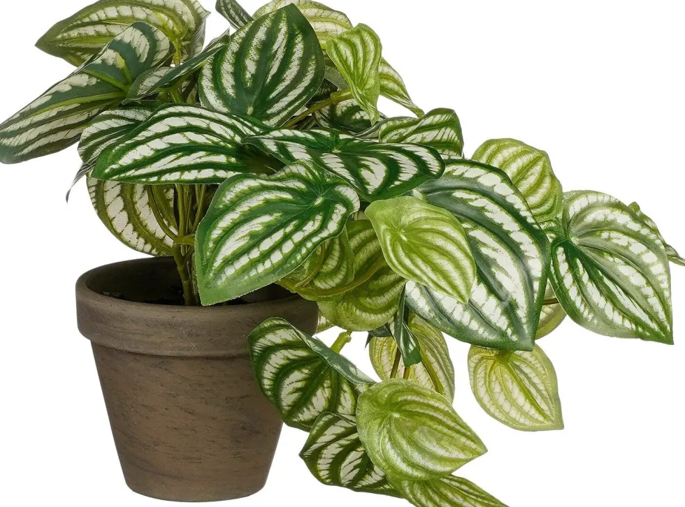 Intratuin kunstplant Watermeloenplantje H 20 cm