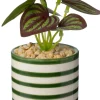 Intratuin kunstplant Watermeloenplantje groen D 7,5 H 13 cm