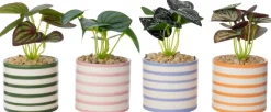 Intratuin kunstplant Watermeloenplantje groen D 7,5 H 13 cm