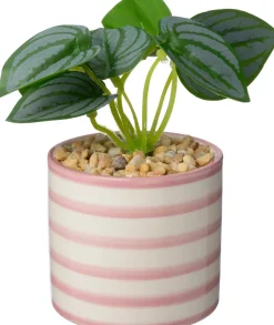 Intratuin kunstplant Watermeloenplantje roze D 7,5 H 13 cm