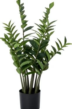 Intratuin kunstplant Zamioculcas D H 88 cm
