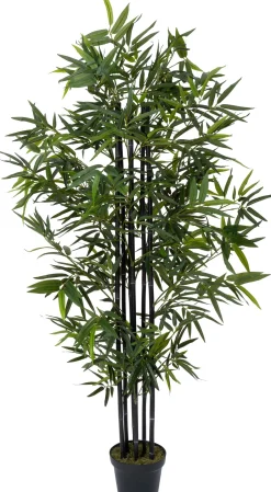 Intratuin kunstplant Zwarte bamboe zwart D 20 H 170 cm