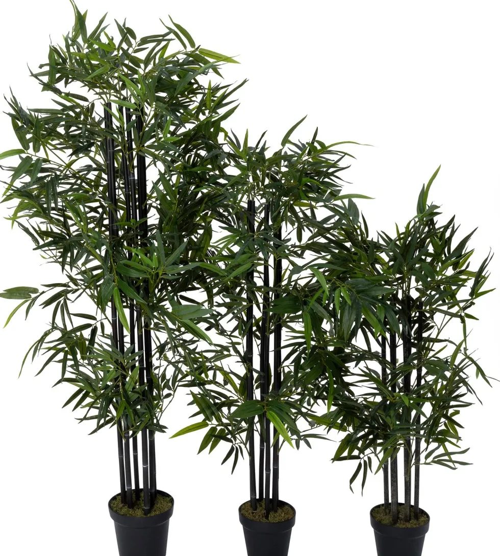 Intratuin kunstplant Zwarte bamboe zwart D 17 H 120 cm
