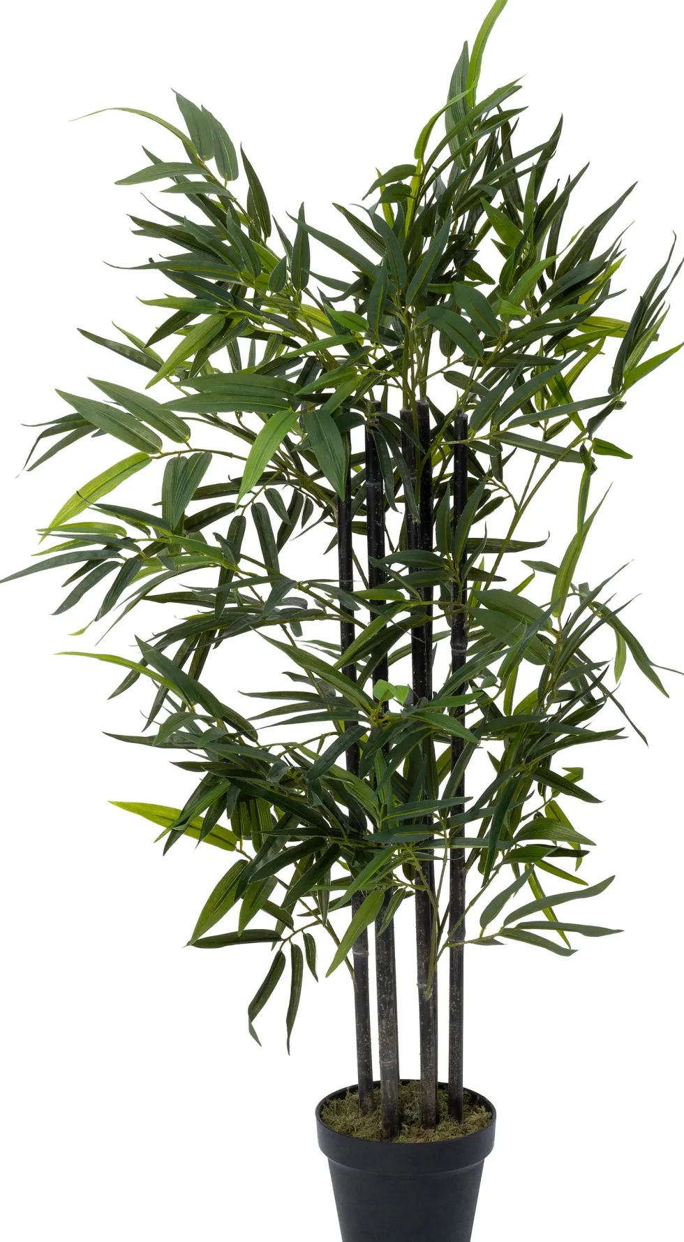 Intratuin kunstplant Zwarte bamboe zwart D 17 H 120 cm