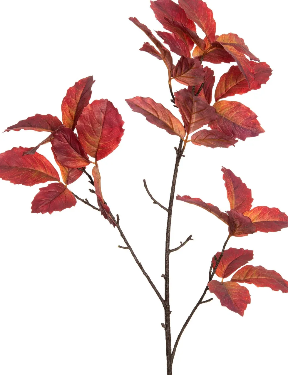 Intratuin kunsttak Druif rood H 110 cm