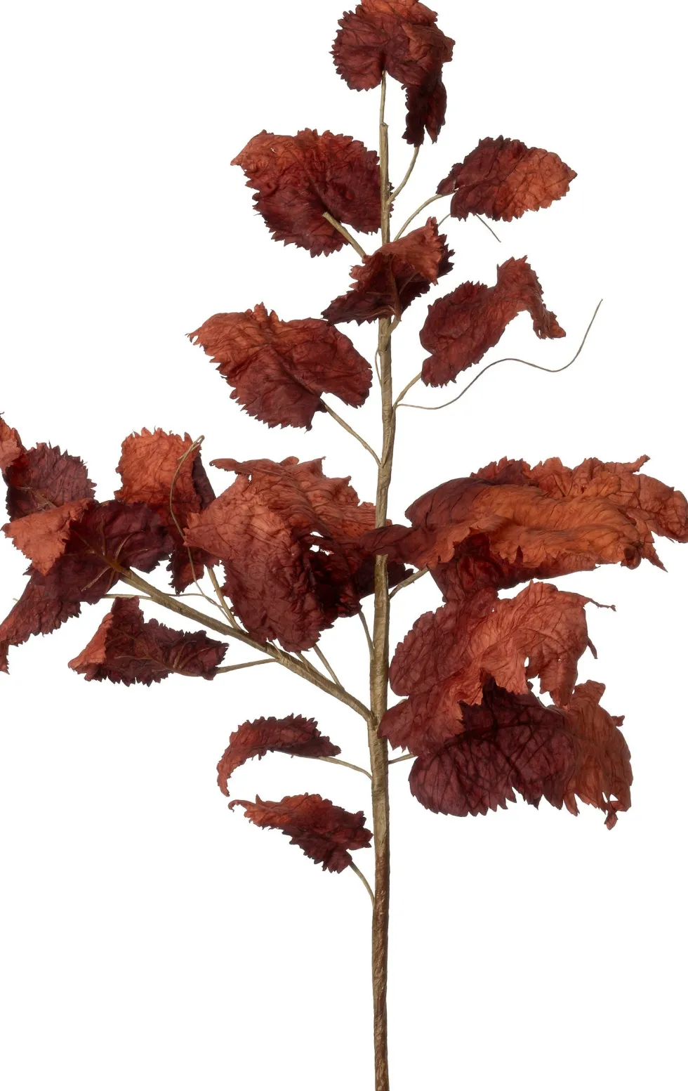 Intratuin kunsttak Druif rood H 86 cm