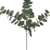 Intratuin kunsttak Eucalyptus H 80 cm
