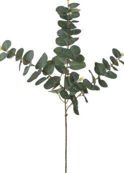 Intratuin kunsttak Eucalyptus H 80 cm