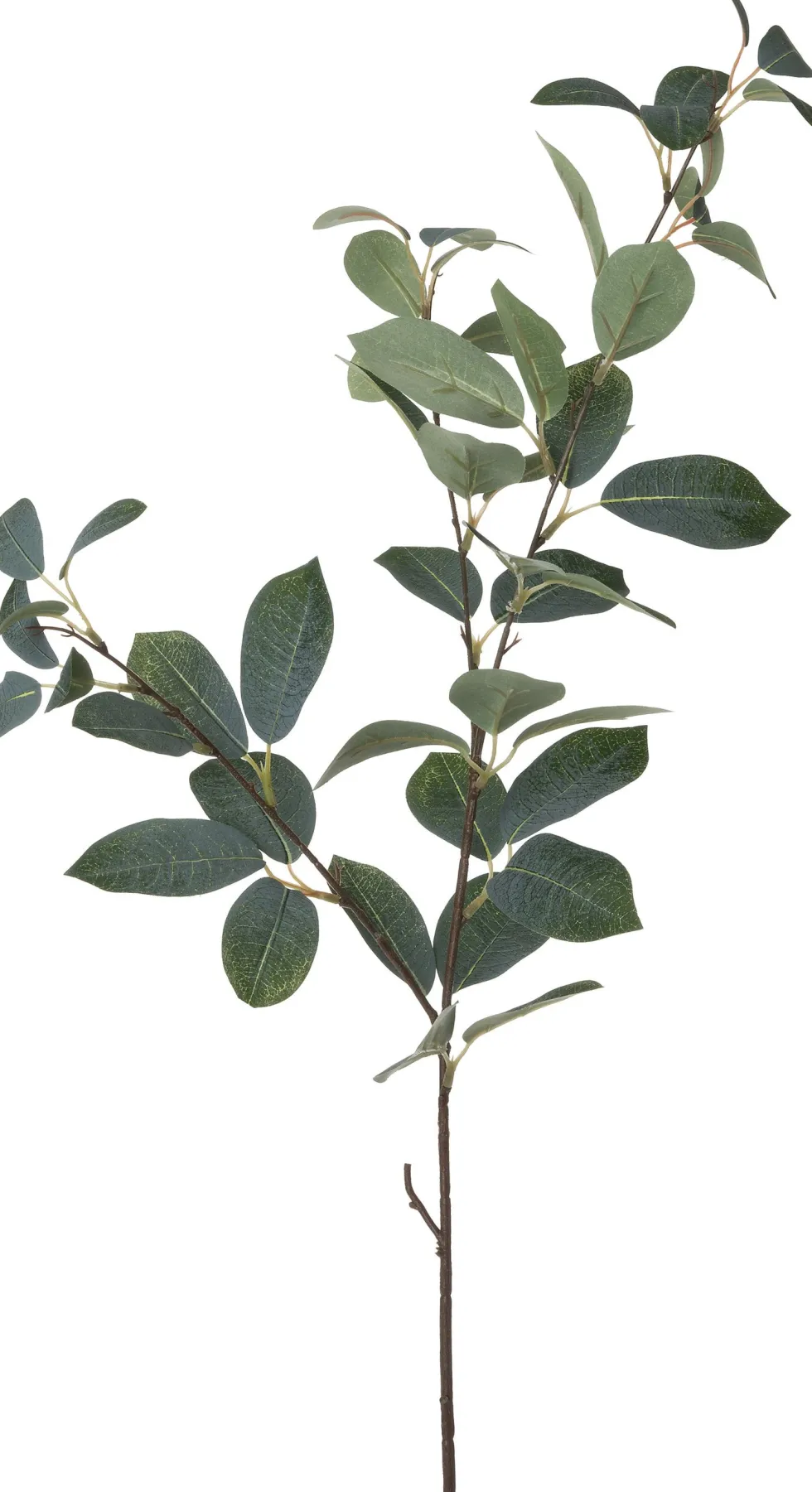 Intratuin kunsttak Eucalyptus grijs H 90 cm