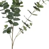 Intratuin kunsttak Eucalyptus H 95 cm