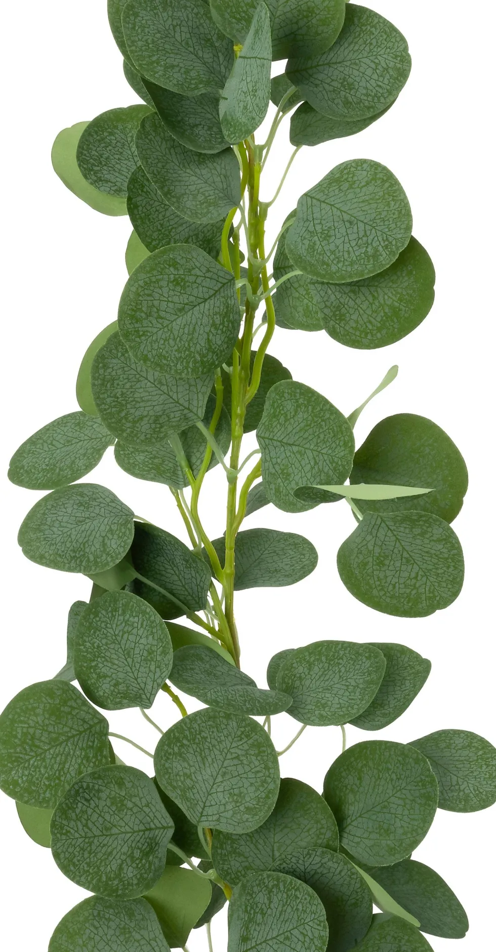 Intratuin kunsttak Eucalyptus grijs H 200 cm