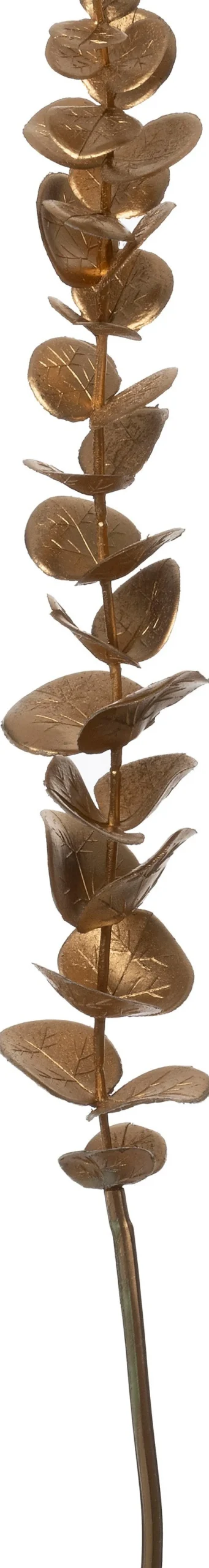 Intratuin kunsttak Eucalyptus goud H 58 cm