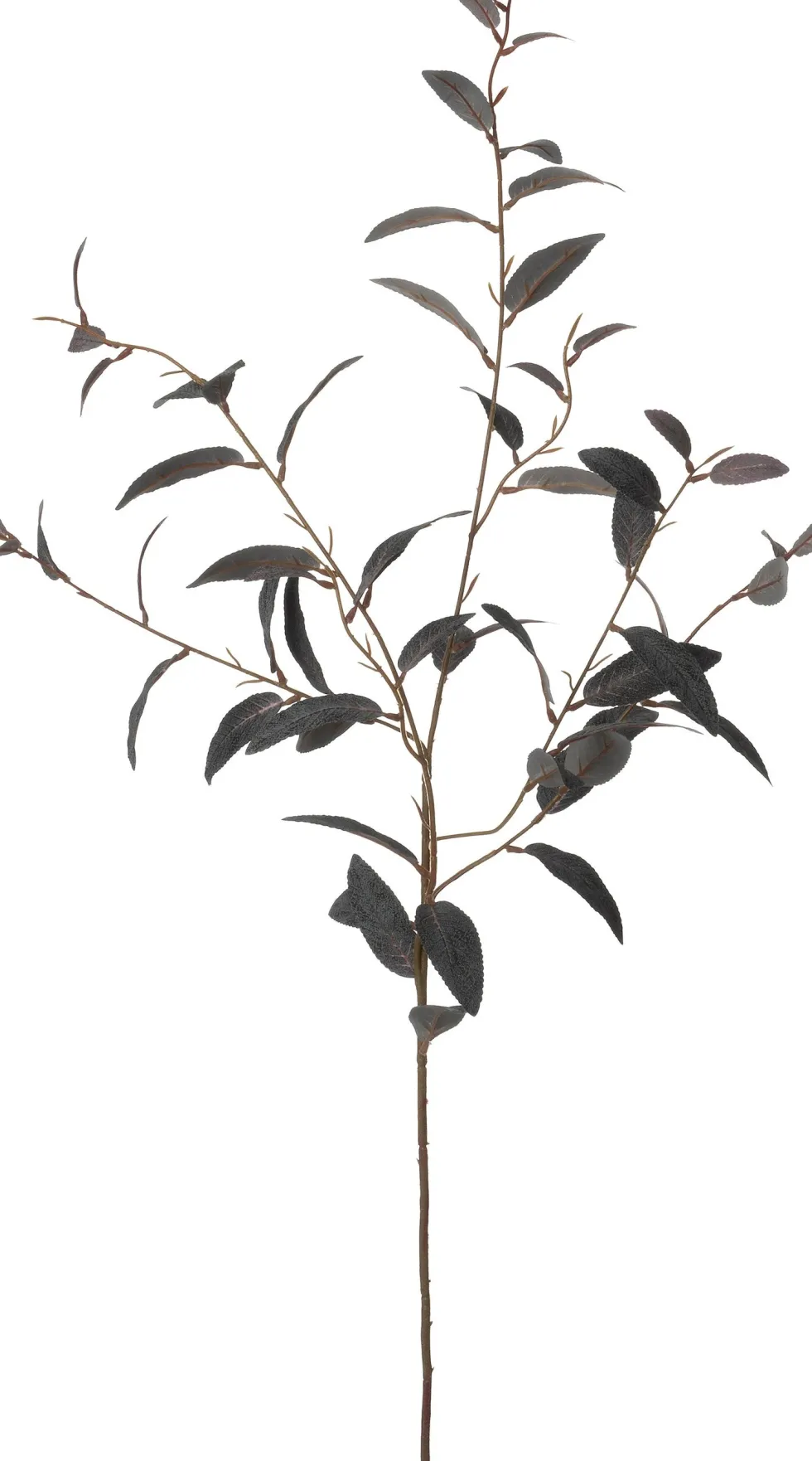 Intratuin kunsttak Eucalyptus paars H 102 cm