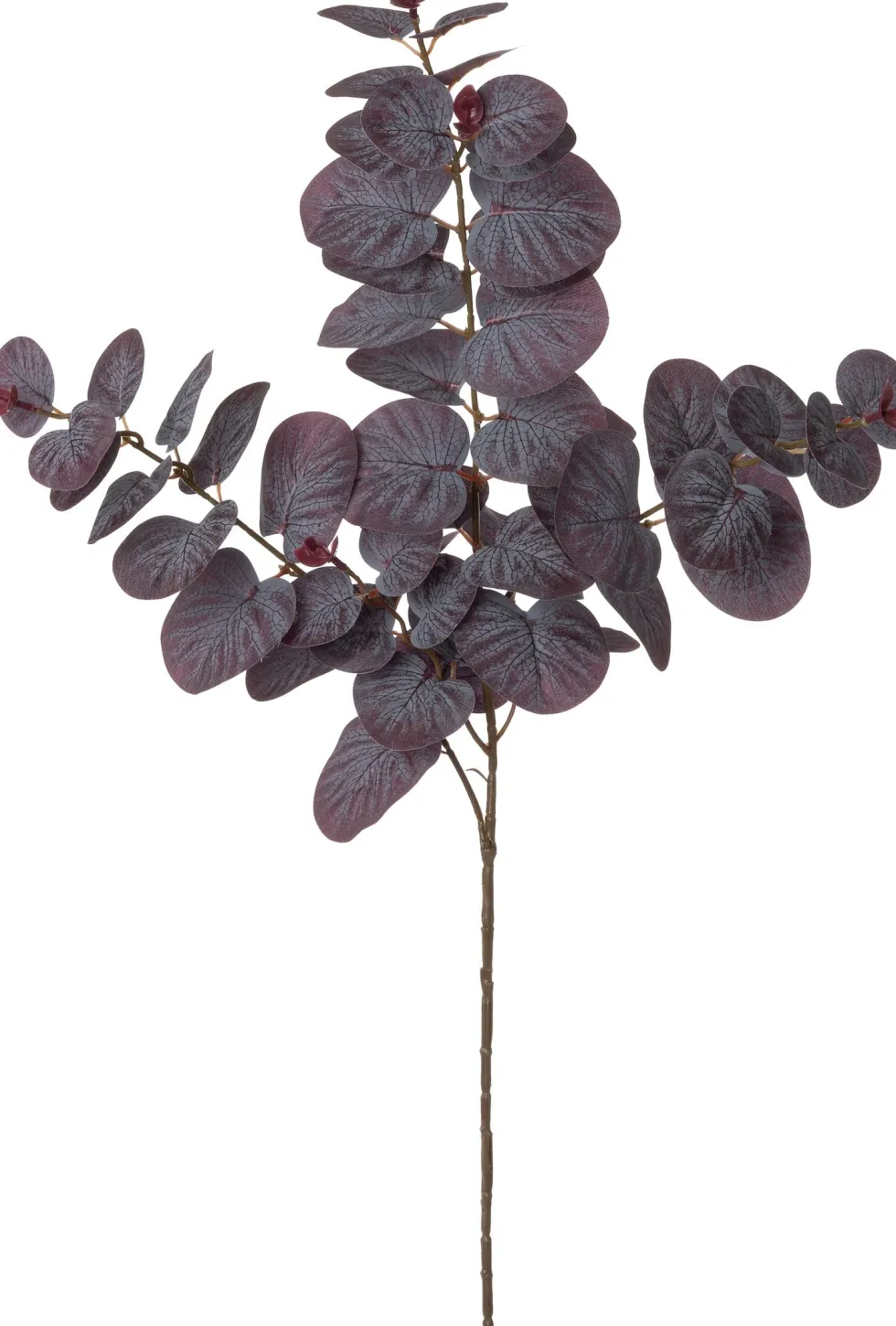 Intratuin kunsttak Eucalyptus paars H 80 cm
