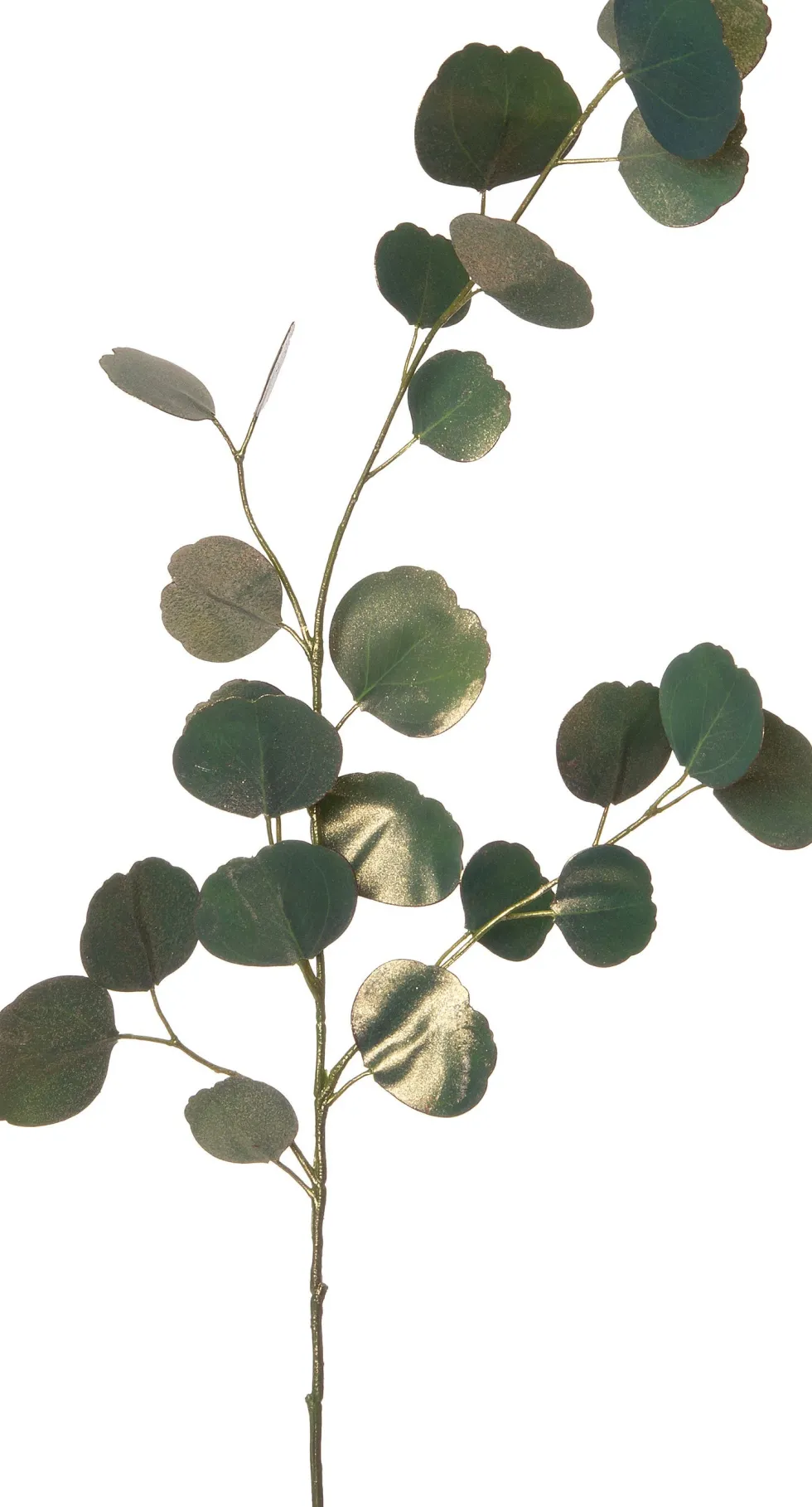 Intratuin kunsttak Eucalyptus groen / goud H 18 cm