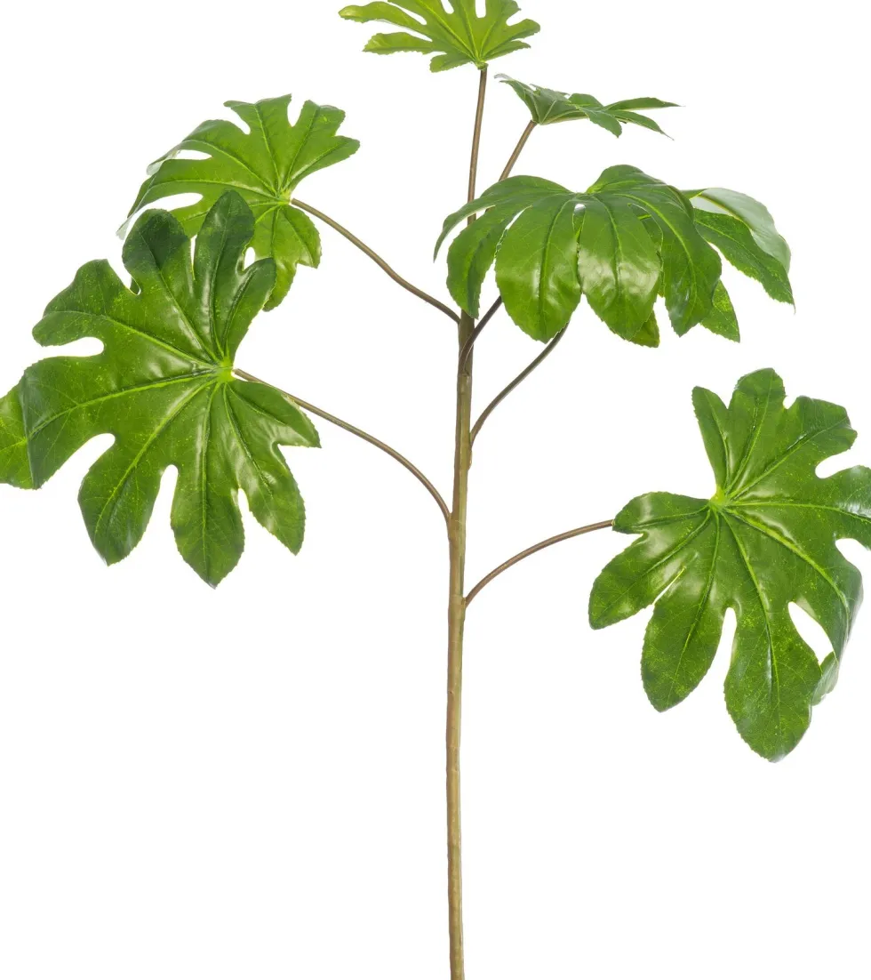 Intratuin kunsttak Fatsia H 85 cm