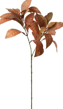 Intratuin kunsttak Glansmispel bruin / groen H 71 cm