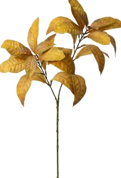 Intratuin kunsttak Glansmispel geel H 71 cm