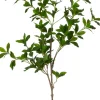 Intratuin kunsttak Liguster H 96 cm