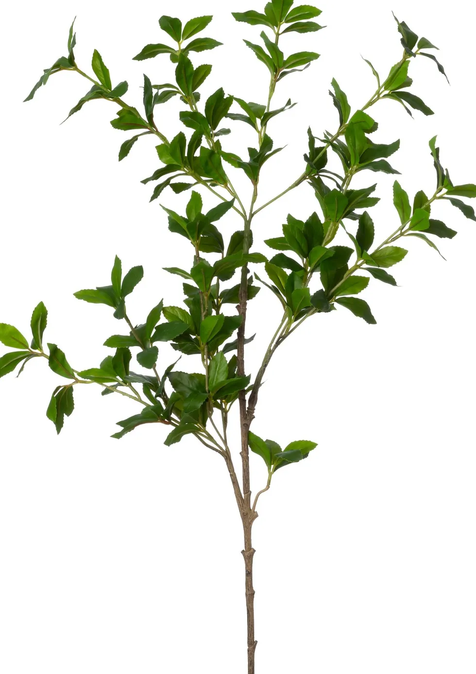 Intratuin kunsttak Liguster H 96 cm