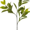 Intratuin kunsttak Liguster H 81 cm