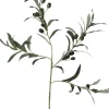 Intratuin kunsttak Olijf H 74 cm