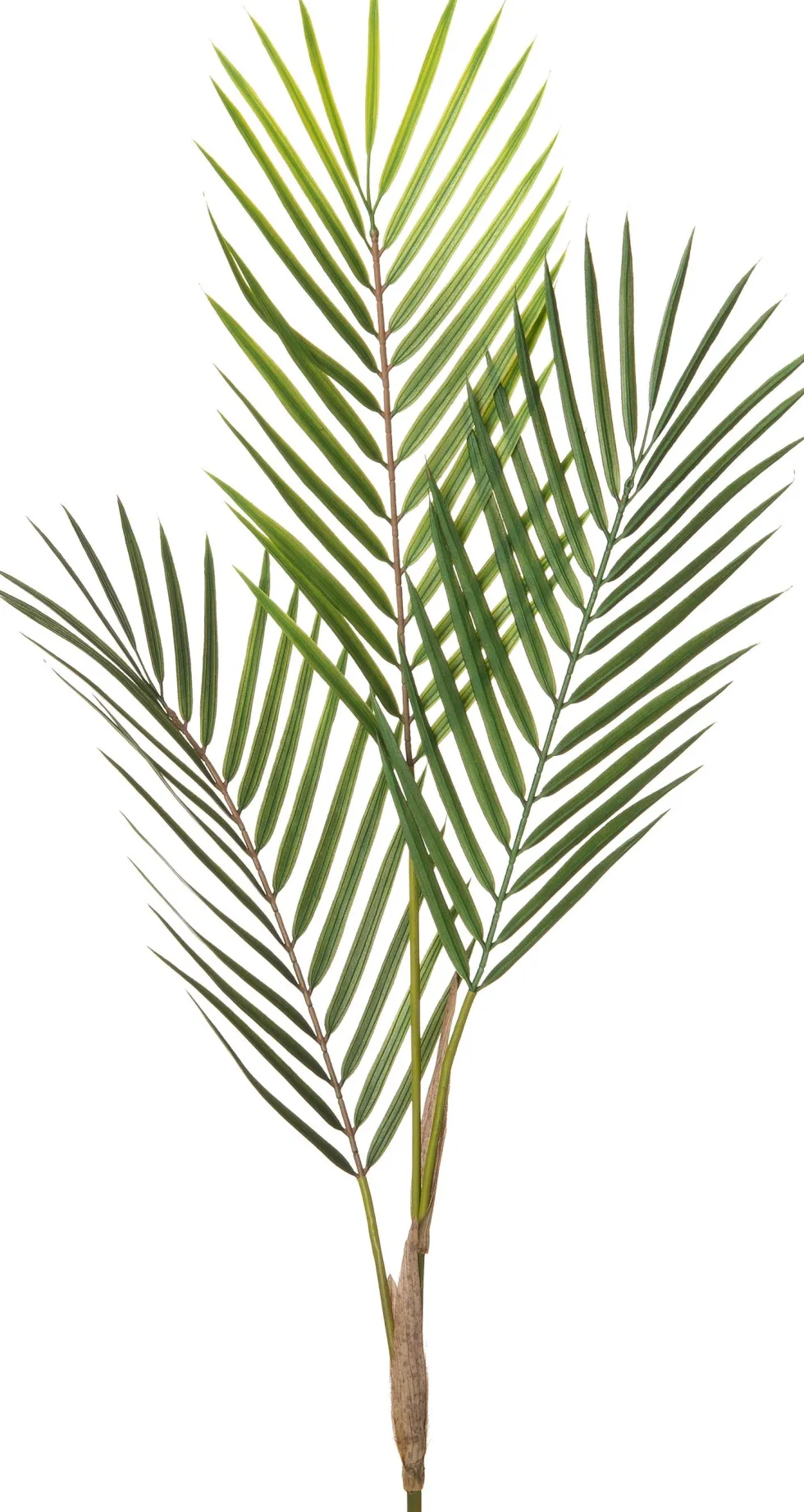 Intratuin kunsttak Palm H 71 cm
