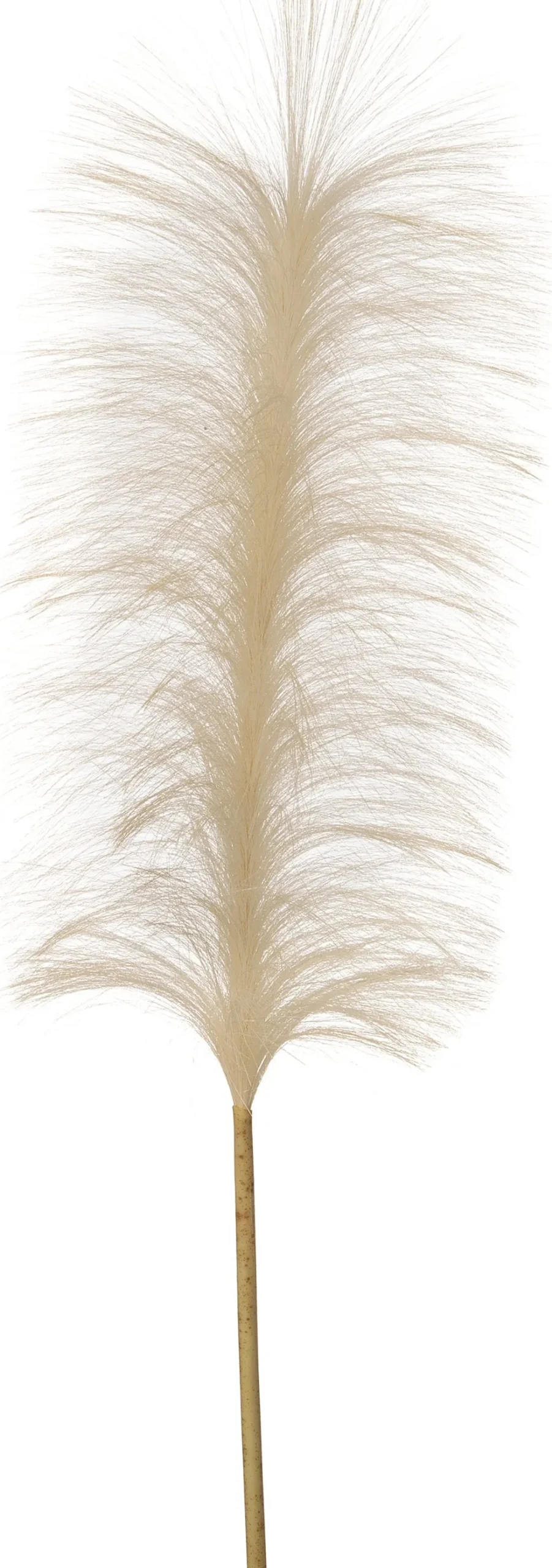 Intratuin kunsttak Pluim crème H 88 cm