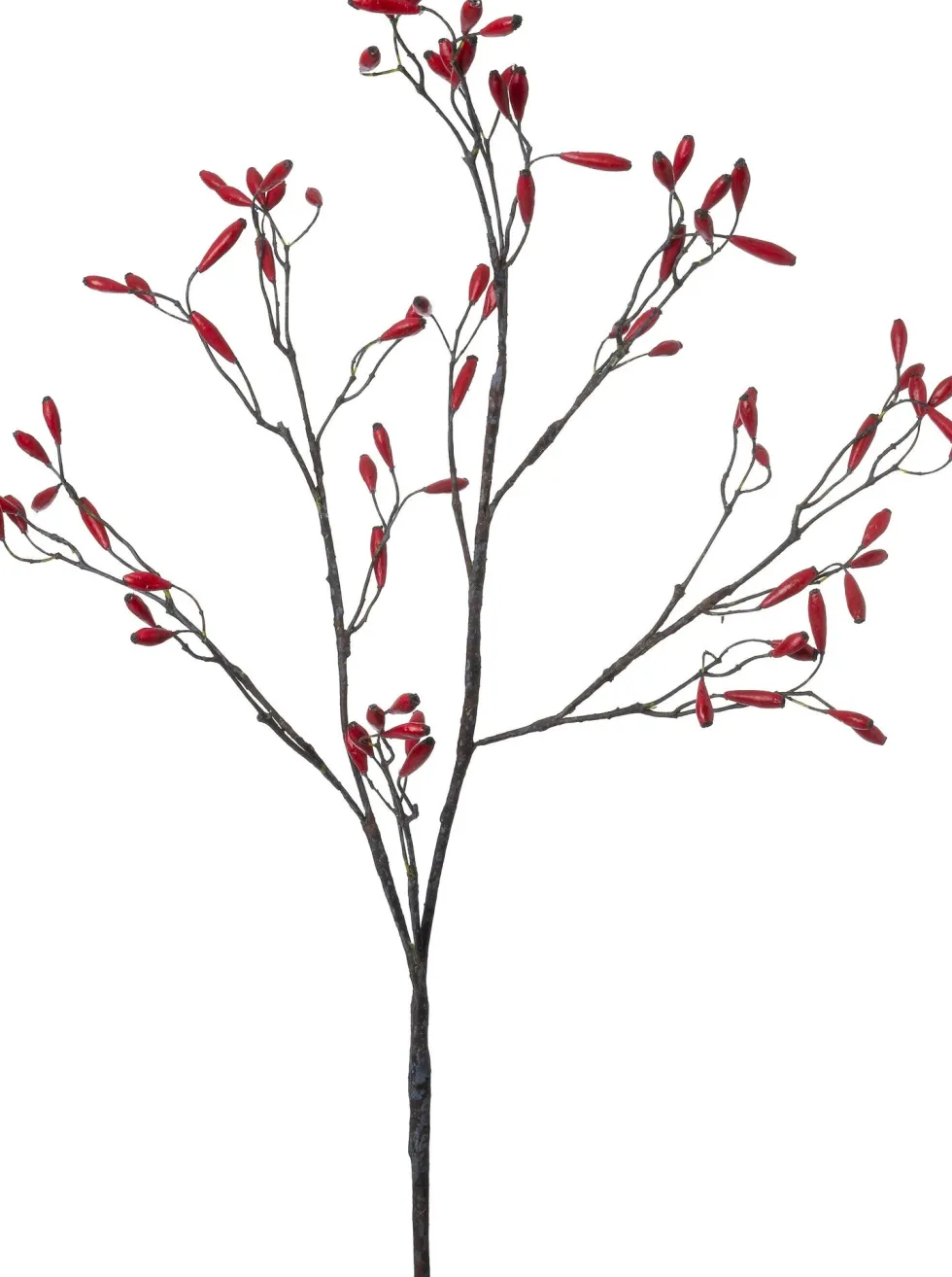 Intratuin kunsttak Rozenbottel rood H 120 cm