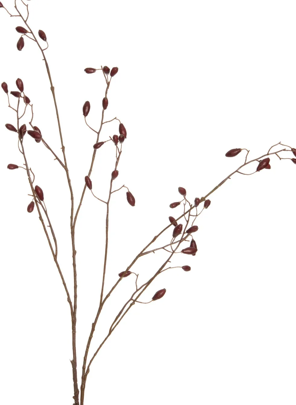 Intratuin kunsttak Rozenbottel rood H 108 cm
