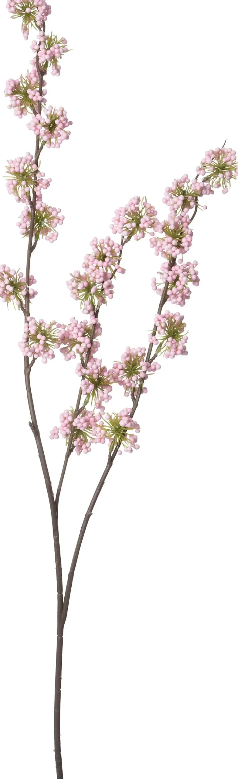 Intratuin kunsttak Schoonvrucht roze H 102 cm