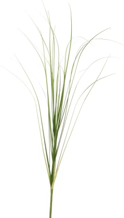Intratuin kunsttak Siergras H 110 cm