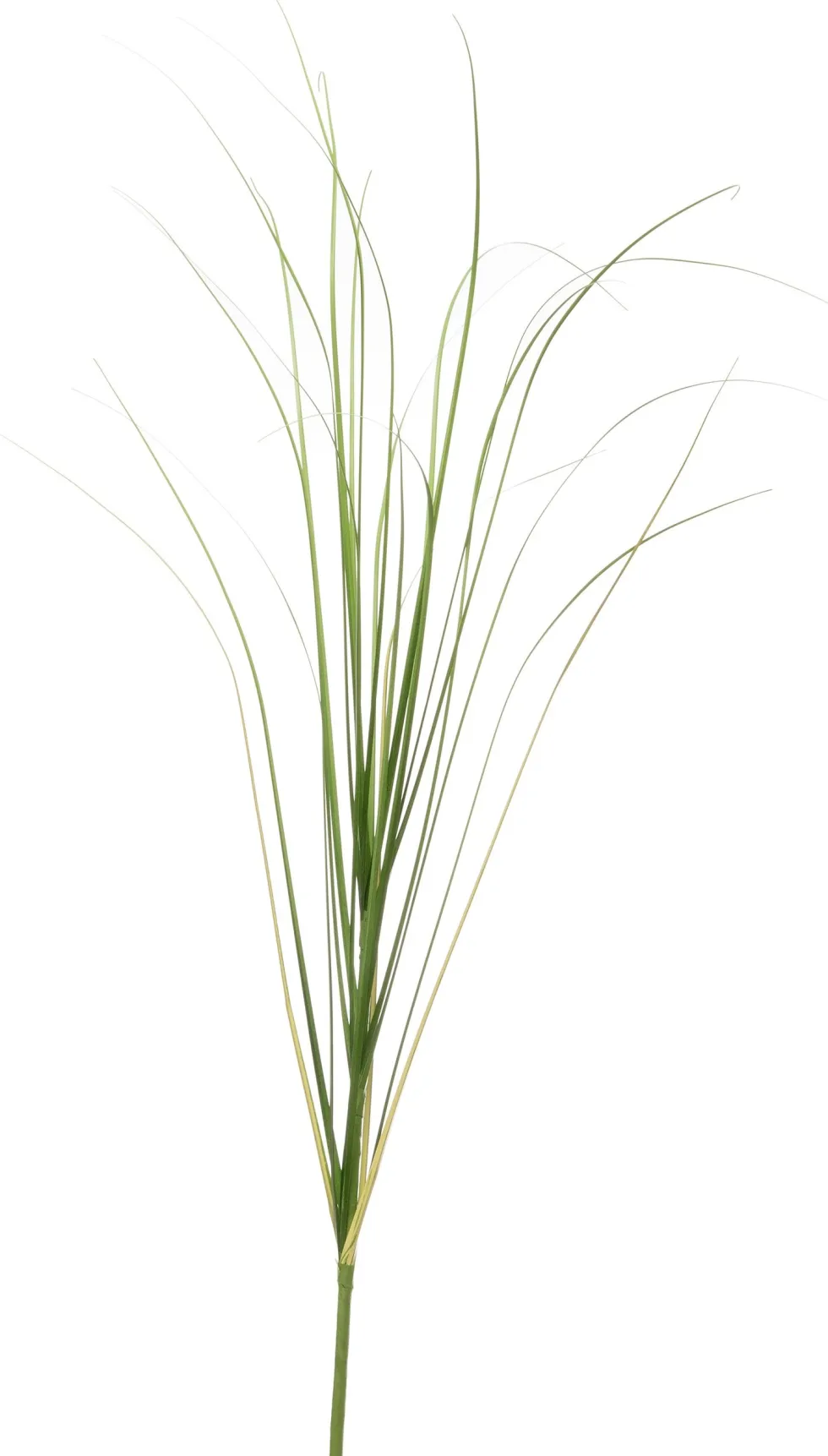 Intratuin kunsttak Siergras H 110 cm