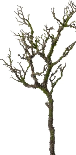 Intratuin kunsttak Tak met mos bruin H 91 cm
