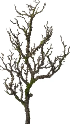 Intratuin kunsttak Tak met mos bruin H 81 cm