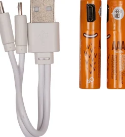 Intratuin oplaadbare batterij AAA met USB kabel 2 stuks